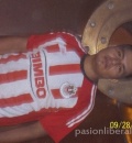 usuario registrado